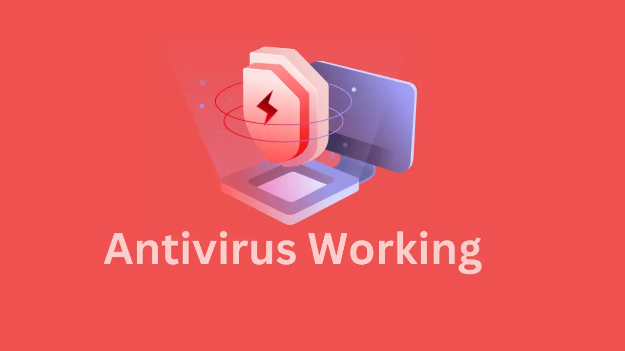 learn how to antivirus work 